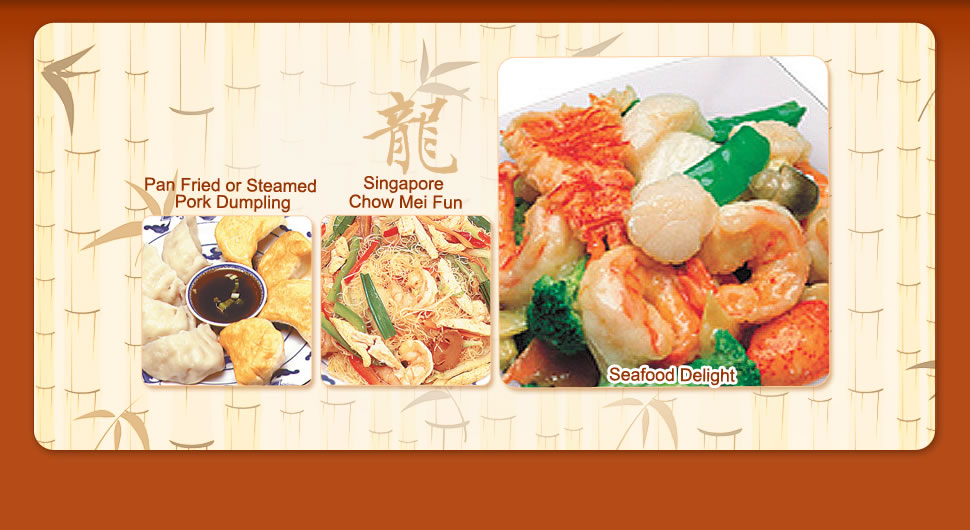 dragon city chinese restaurant menu